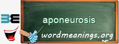 WordMeaning blackboard for aponeurosis